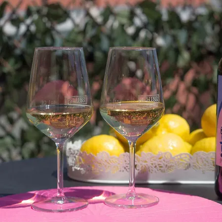 Refilea Sea View Tower * Vernazza