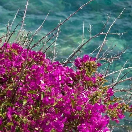 Refilea Sea View Tower 펜션 *