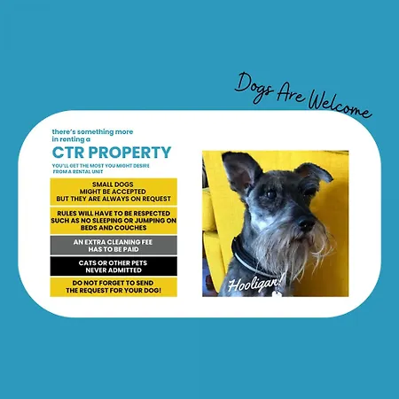 펜션 Refilea Sea View Tower