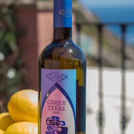 Refilea Sea View Tower *