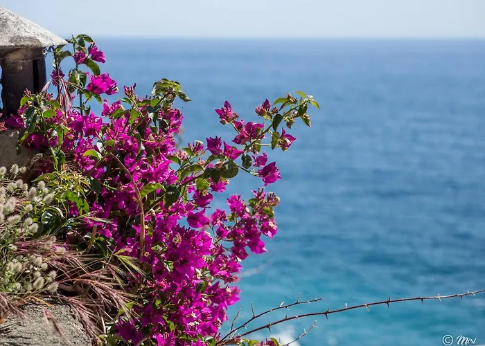 Nyaraló Refilea Sea View Tower