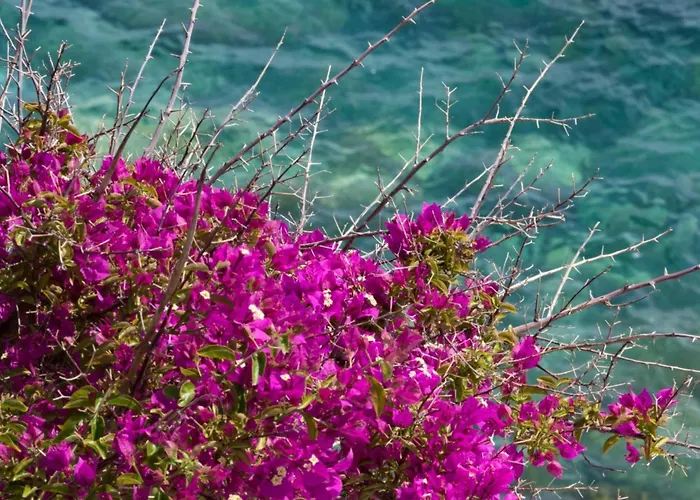 Refilea Sea View Tower Nyaraló *